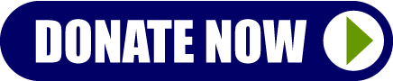 A blue banner with white text that says " vote now ".